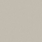 Grès cérame porcelainé - Pure Line 2.0 Carreau de fond 60 x60 foggy grey