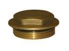 BOUCHON POUR COLLECTEUR FEMELLE A VISSER 15/21 - BC15F