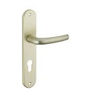 Ensemble poignée de porte Maia champagne 195 mm à cylindre