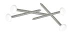 CLOU INOX EMBOUT PLASTIQUE LONGUEUR 40MM BLANC    - CI40B