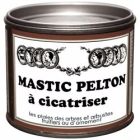 MASTIC CICATRISANT PELTON 195G     /NC