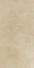 Grès cérame porcelainé - X-Plane Carreau de fond 30 x60 beige