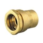 Raccord laiton taraudé Ø25x3/4' - RAC. FEMELLE LAITON D25x3/4