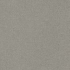 Carrelage Sol|Sol Intérieur| en Grés cérame - Standard Evolution 200 Evolution Argent Piastrelle