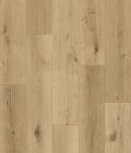 Revêtement de sol LVT - Signo LVT à coller SPC LVT à coller; 2,50mm épaisseur; coloris 25