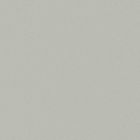 Grès cérame porcelainé - Pro Architectura 3.0 Carreau de fond 15 x15 secret grey