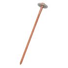 Vis bois tête parapluie inox cuivre Torx 4,5 x 120 mm avec rondelles et joint EPDM - Boîte de 50