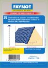 BLISTER 25 PTES TOR 4X60 RAL 7016 +RLLE
