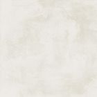GRES CERAME - PRS PLUME 30X60 RETT
