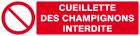 SIGNALISATION EXTERIEURE ET INTERIEURE - CUEILLETTE DES CHAMPIGNONS INTERDITE l 330 L 120mm