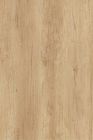 Chants thermoplastiques - 2510 GAP H3331  10 -- 200 023 0075