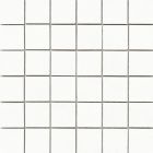 Gres cerame PROGRESS WHITE MALLA 30X30