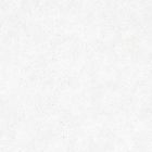 Gres cerame C3 RECT. GRANITE WHITE PAV./REV. (CIFRE) 60X60 RECT