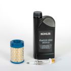 Kit entretien pour PERFORM 3000 XL comprenant huile, bougie, filtre à carburant et filtre à air