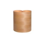 Chant Bois - PIN PLACNOR 0.50 M X 2.50 ML FR