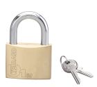 CADENAS TYPE 1 60MM ANSE ACIER 2 CLES