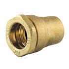 Raccord laiton taraudé Ø20x1/2' - RAC. FEMELLE LAITON D20x1/2