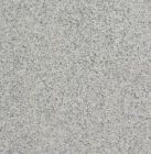 DALLE 50X50X4 T7 (12,50M2) SAVOIE