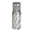 FRAISE HSS H25MM WELDON 19 MM D.42