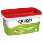 QUELYD COLLE TS P.PEINT INDICATEUR 5KG