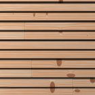 PRESERVE TOLTEK DO CL3.1 INCOLORE 44*108*4000