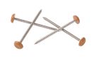 CLOU INOX EMBOUT PLAST  LONGUEUR 40MM CHENE LIEGE  - CI40CL