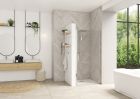 Porte pivotante (intérieur/extérieur) sans seuil à largeur de passage maximale - SMART DESIGN P SS 100 Chrome TN