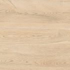 GRES CERAME - NDW ALMOND 26X160 RETT