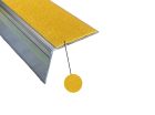 NEZ DE MARCHE EXTERIEUR A VISSER ALU LARGE PHOTOLUM 60MM X 46MM ANTI 50MM L.1500mm
