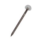 Pointes tête plastique ronde annelée 3,1 x 65 mm - Box de 100 blanc