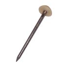 Pointes tête plastique ronde annelée 2 x 40 mm - Box de 250 ivoire