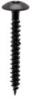 VIS PENTUR.TORX N BQ200 7X40