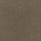 Carrelage Sol|Sol Intérieur| en Grés cérame - Standard Evolution 300 Evolution Taupe Piastrelle