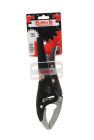 PINCE ETAUX BEC LGS 250 SUR CARTE