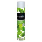BOLDAIR FRAICHEUR MENTHOLEE BACTERICID