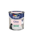 Peinture - CRÈME DE COULEUR SATIN Bouton de Rose 0,5 L