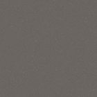 Grès cérame porcelainé - Pro Architectura 3.0 Carreau de fond 20 x20 solid grey