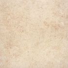 Carrelage Sol|Sol Intérieur|Mur|Mur Intérieur|Mur Extérieur| en Grés cérame - Racines Clair Piastrelle