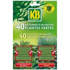 BATONNETS PLANTES VERTES KB X40   /NC