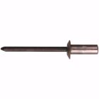 RIVET ETANCHE TP BL/40 4,8X16