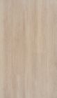 Stratifié - Trendline 8 XL Rossini Oak 6 lames