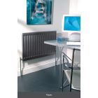 Peinture - RADIATEUR satin Poivre - aérosol de 400ml