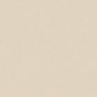 Grès cérame porcelainé - Pure Line 2.0 Carreau de fond 60 x60 ivory