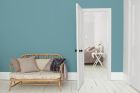Testeur peinture - TEST! Le Bleu - rouleau de 0,03L