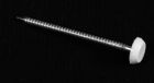 Pointes tête plate plastique annelé sable - long. 40 mm x diam. 7 mm - Boîte de 250
