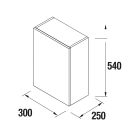 Coquette ALLIANCE 300 sbiancato 1 porte  fond réduit 300 x 540 x 250 mm