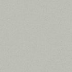 Gres cerame porcelaine Pro Architectura 3.0 Carreau de fond 20 x20 secret grey