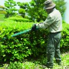 Taille-haie 18 V Li-Ion 5 Ah 75 cm