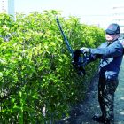 Taille-haie 18 V Li-Ion 5 Ah Ah 60 cm