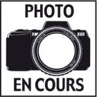 DECINTROIR PIC PANNE 700G TRI MAT